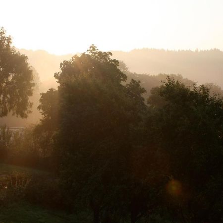 Appartamento Eifel Rebeige Gerolstein Kopp Esterno foto