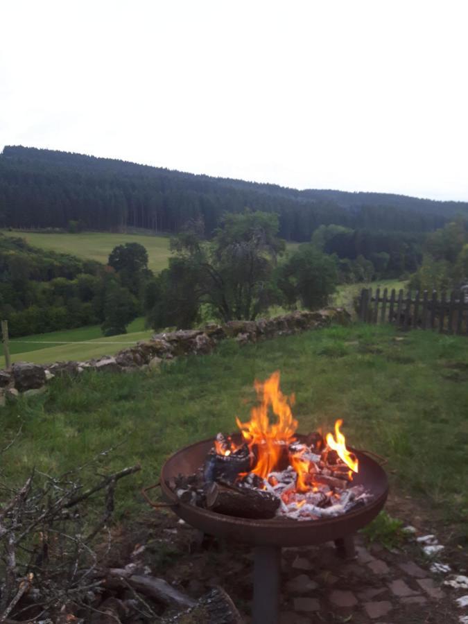Appartamento Eifel Rebeige Gerolstein Kopp Esterno foto