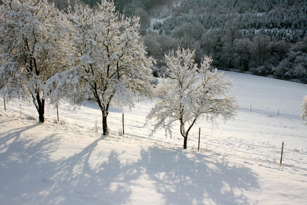 Appartamento Eifel Rebeige Gerolstein Kopp Esterno foto