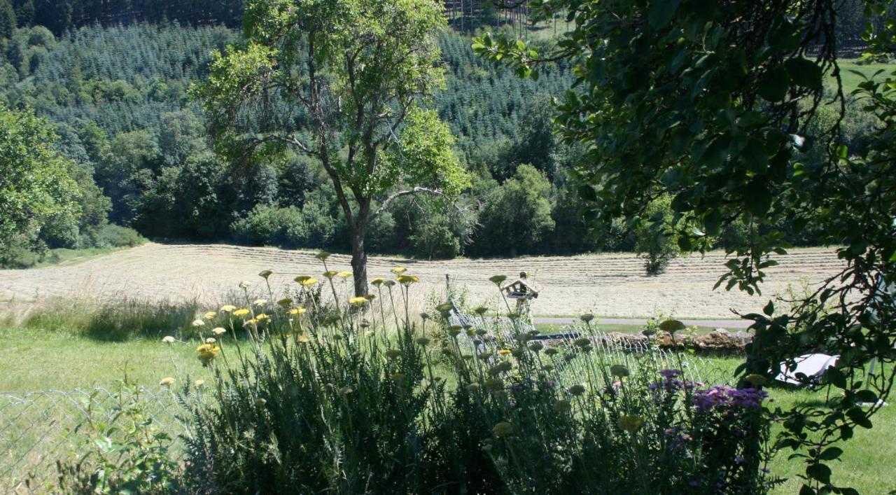 Appartamento Eifel Rebeige Gerolstein Kopp Esterno foto