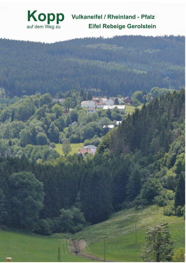 Appartamento Eifel Rebeige Gerolstein Kopp Esterno foto
